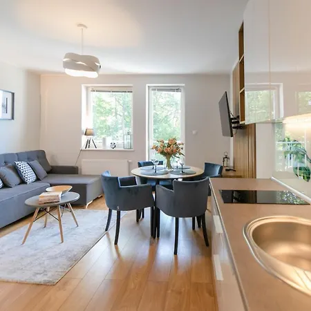 Apartamenty Kamienna Z Widokiem Na Gory I 2 Km Do Wyciagu Skolnity - Dream Apart Wisla Exterior photo