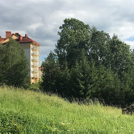 Apartamenty Kamienna Z Widokiem Na Gory I 2 Km Do Wyciagu Skolnity - Dream Apart Wisla Exterior photo
