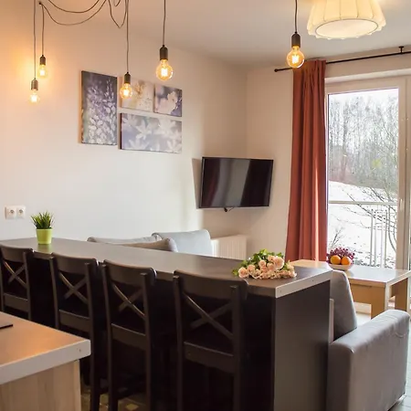 Apartamenty Kamienna Z Widokiem Na Gory I 2 Km Do Wyciagu Skolnity - Dream Apart Wisla Exterior photo