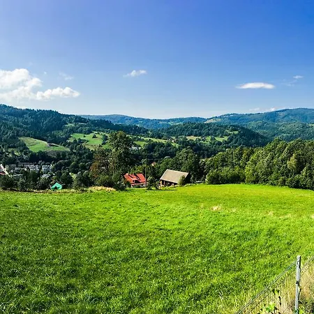 Apartamenty Kamienna Z Widokiem Na Gory I 2 Km Do Wyciagu Skolnity - Dream Apart Wisla Exterior photo