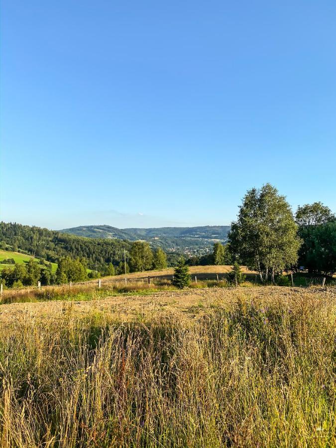 Kamienna Z Widokiem Na Gory I 2 Km Do Wyciagu Skolnity - Dream *
