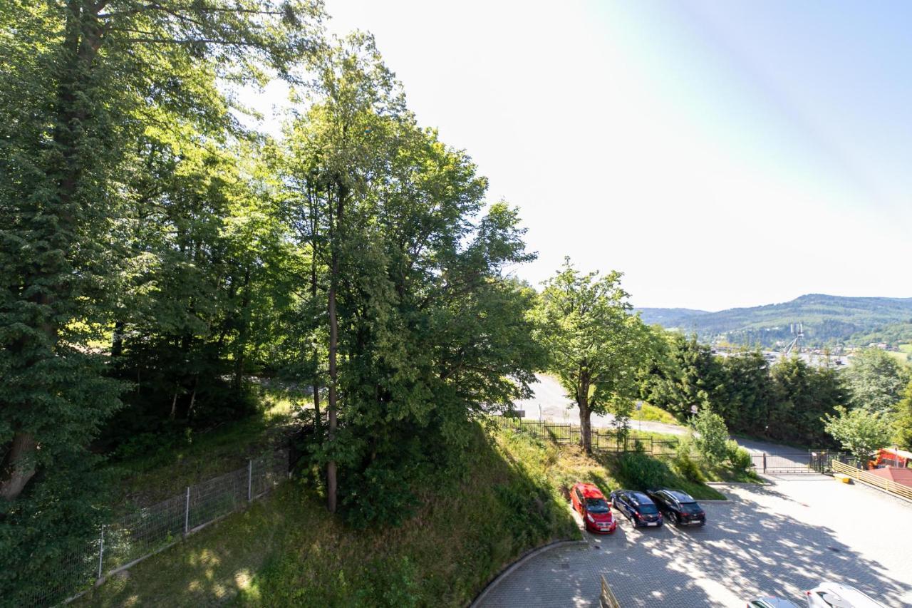 Kamienna Z Widokiem Na Gory I 2 Km Do Wyciagu Skolnity - Dream Apartment