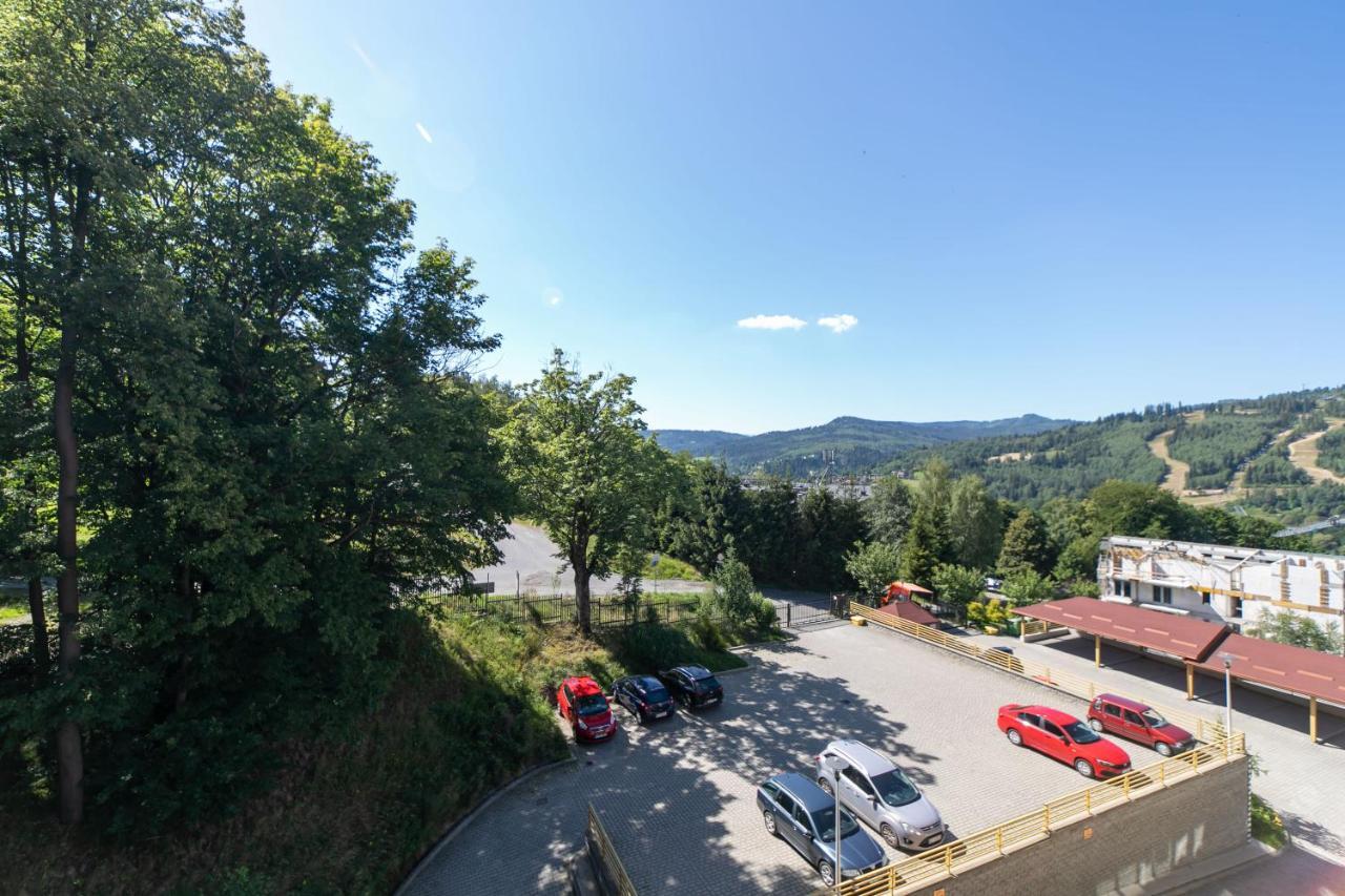 Kamienna Z Widokiem Na Gory I 2 Km Do Wyciagu Skolnity - Dream Apartment Wisla