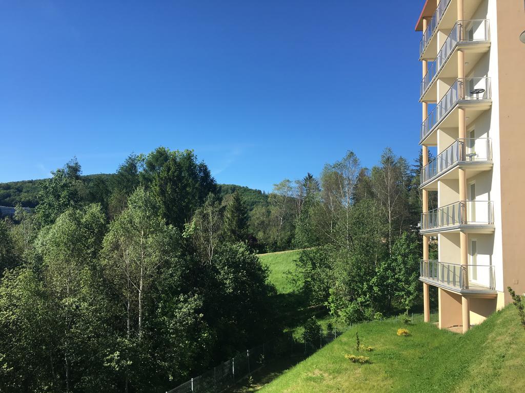 Kamienna Z Widokiem Na Gory I 2 Km Do Wyciagu Skolnity - Dream * Wisla