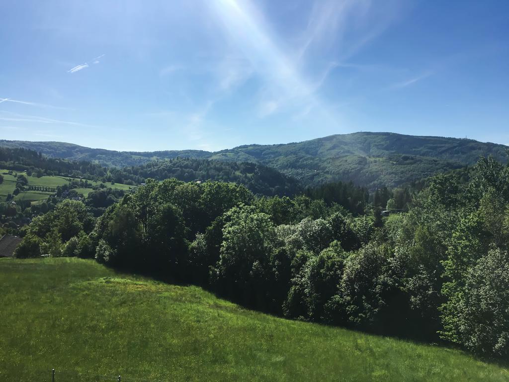 Kamienna Z Widokiem Na Gory I 2 Km Do Wyciagu Skolnity - Dream Wisla