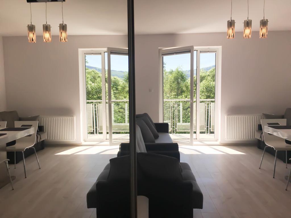 Kamienna Z Widokiem Na Gory I 2 Km Do Wyciagu Skolnity - Dream Apartment