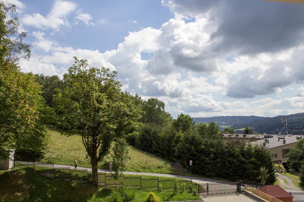 Kamienna Z Widokiem Na Gory I 2 Km Do Wyciagu Skolnity - Dream Apartment Wisla