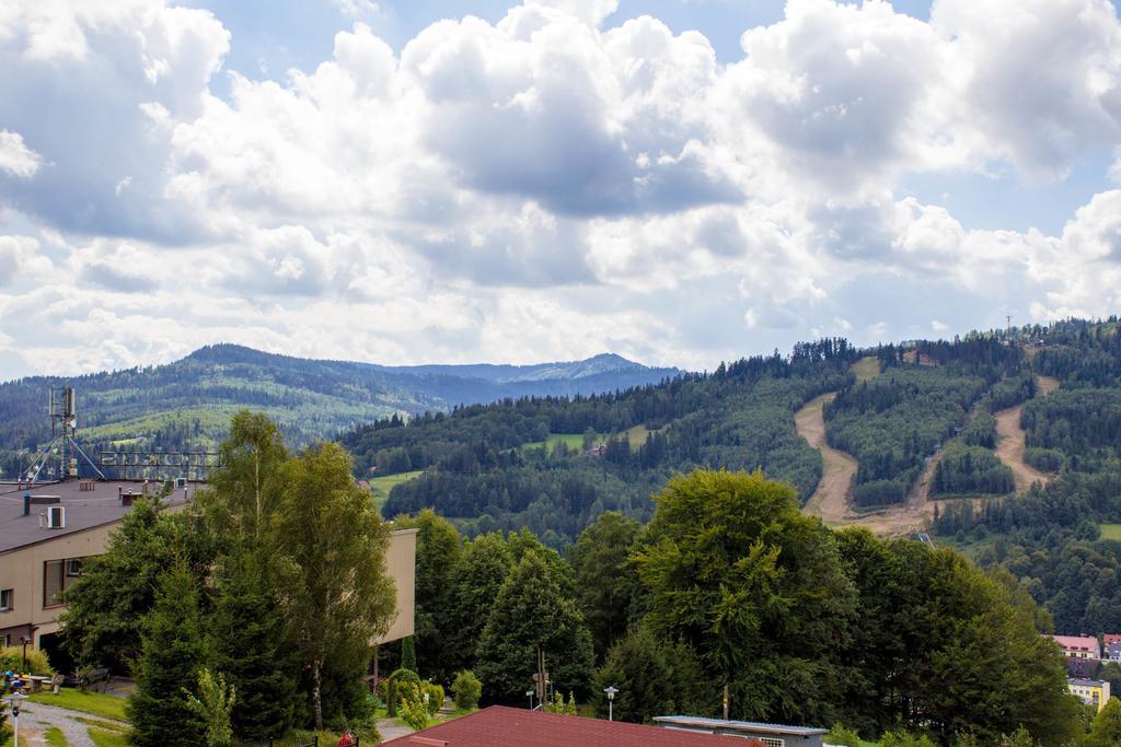 Kamienna Z Widokiem Na Gory I 2 Km Do Wyciagu Skolnity - Dream Apartment